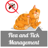 Flea and Tick management
