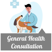 General Health and Consultation