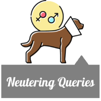 Neytering Queries