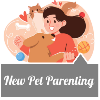 New Pet Parenting