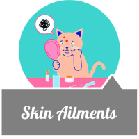 Skin Ailmants